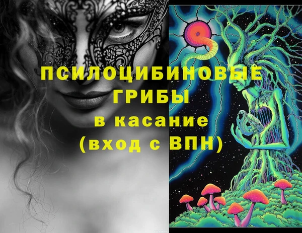 гашиш Вяземский